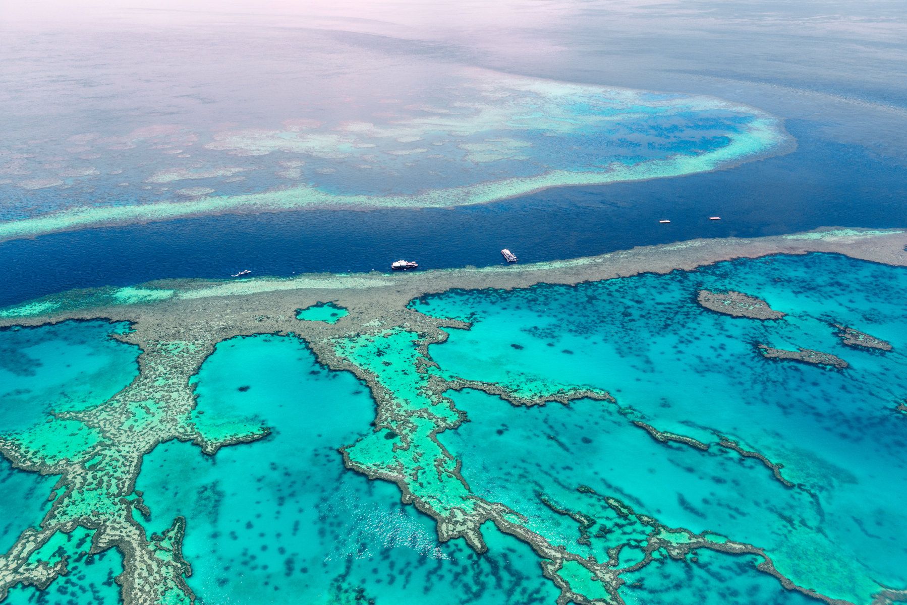 outer great barrier reef tours